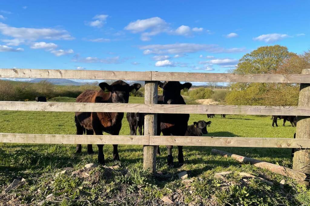 Galloway Farmstay Broughton Newton Stewart Bagian luar foto
