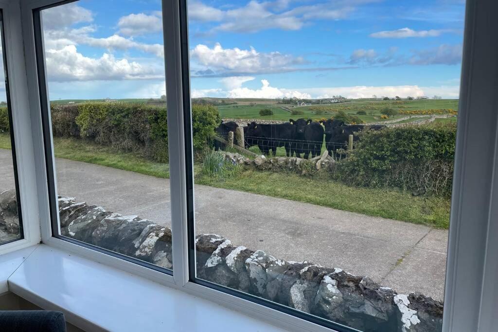 Galloway Farmstay Broughton Newton Stewart Bagian luar foto